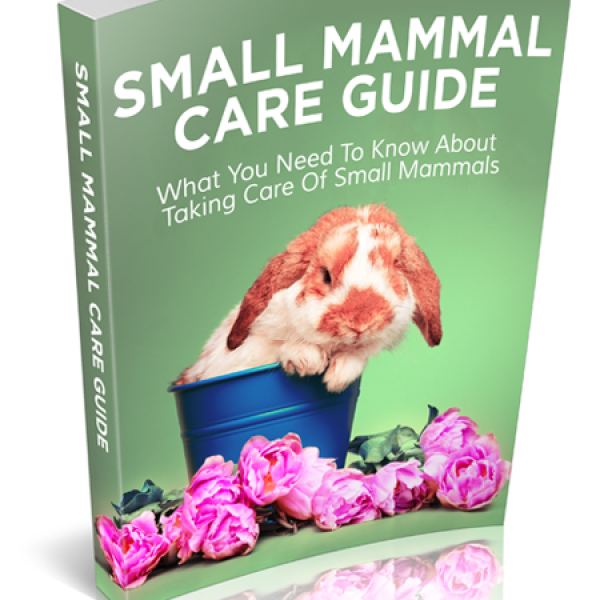 Umfassender Leitfaden zur Pflege von kleinen Säugetieren Zugang