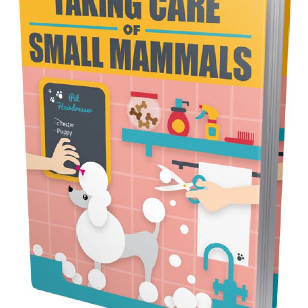 Umfassender Leitfaden zur Pflege von kleinen Säugetieren