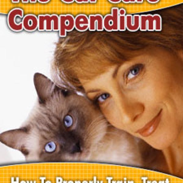 دليل رعاية القطط - موارد أساسية لمالكي القطط