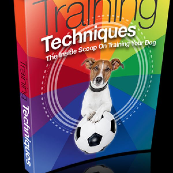 الوصول إلى مجلد تقنيات التدريب على Google Drive