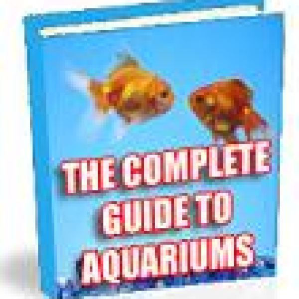 Der vollständige Leitfaden für Aquarien - Digitaler Zugang