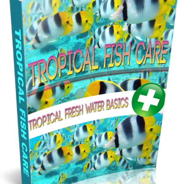 الوصول إلى مجلد موارد رعاية الأسماك الاستوائية