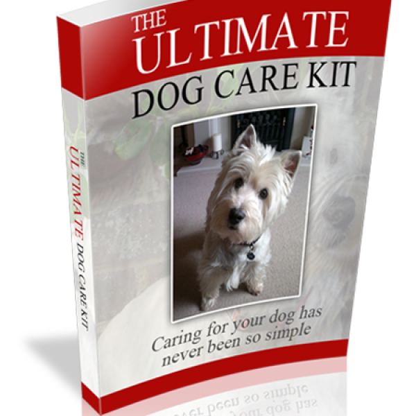 مجموعة العناية المثالية بالكلاب - مورد رقمي شامل