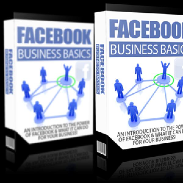 Facebook Business Grundlagen Zugang