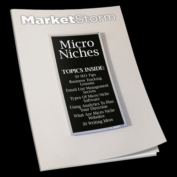 الوصول إلى الميكرو نيتش: دليلك الشامل