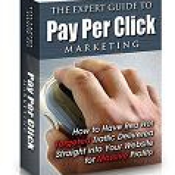 الدليل المتخصص في تسويق PPC - الوصول إلى Google Drive