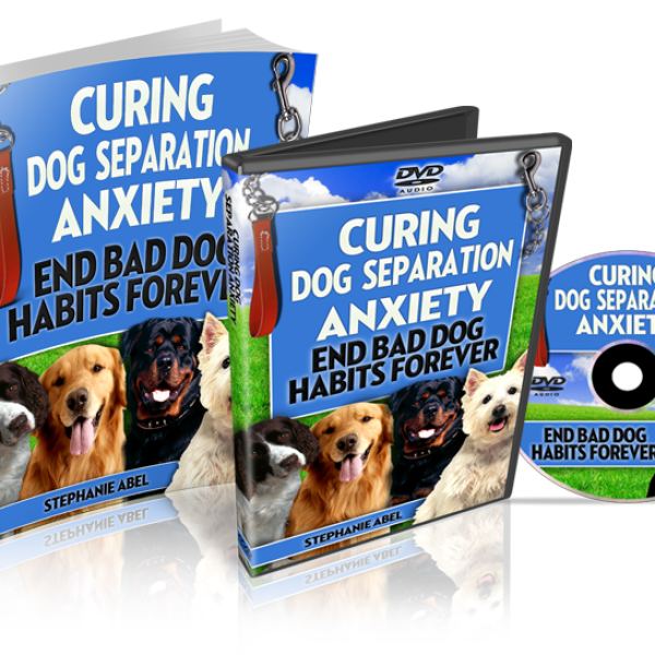 HOME & FAMILY Resource Hub: Expert Guides and Audio Tracks