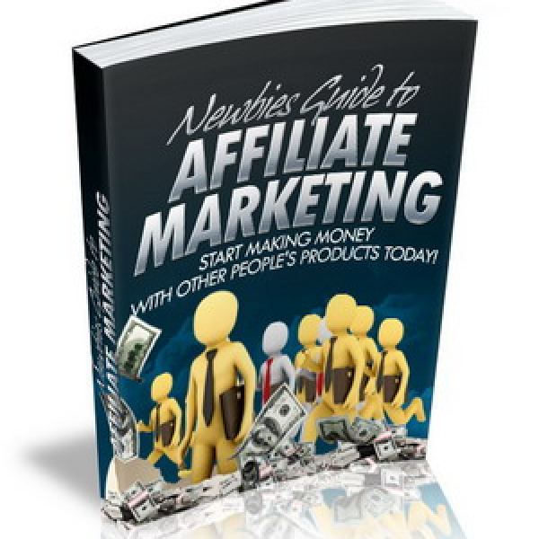 Newbies Guide to Affiliate Marketing - Complete Digital Resource