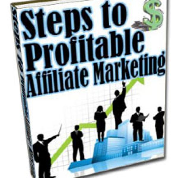 Access the Steps to Profitable Affiliate Marketing Folder