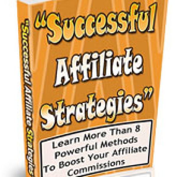 Access to Successful Affiliate Strategies Google Drive Folder