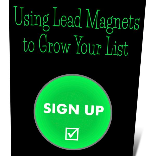 Access the 'Using Lead Magnets To Grow Your List' Google Drive Folder