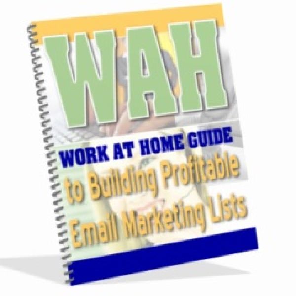 Access the WAH Build Profitable Email Marketing List Google Drive Folder