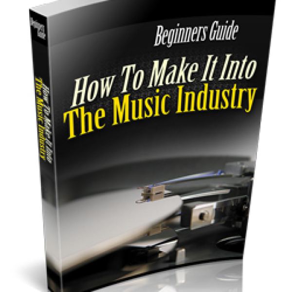 Beginner's Guide to Success in the Music Industry