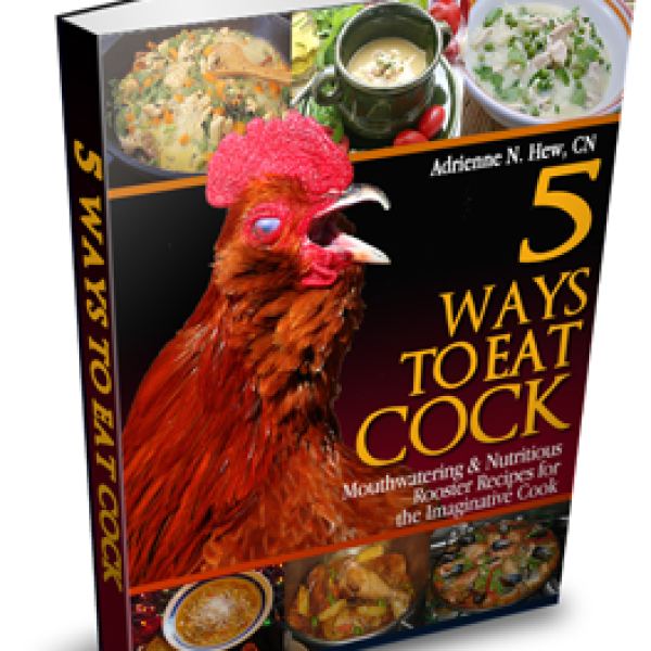 5 Ways to Eat Chicken - Complete Recipe Access