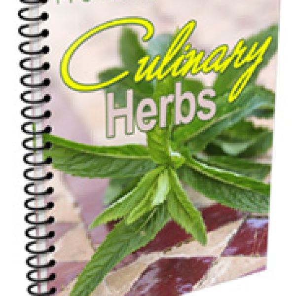 Culinary Herbs Digital Resource Package