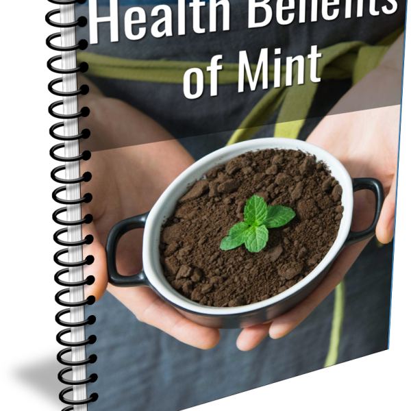 Unlock the Health Benefits of Mint - Google Drive Access
