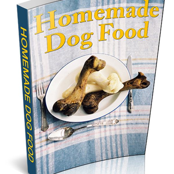 Healthy Homemade Dog Food Access - Google Drive Folder