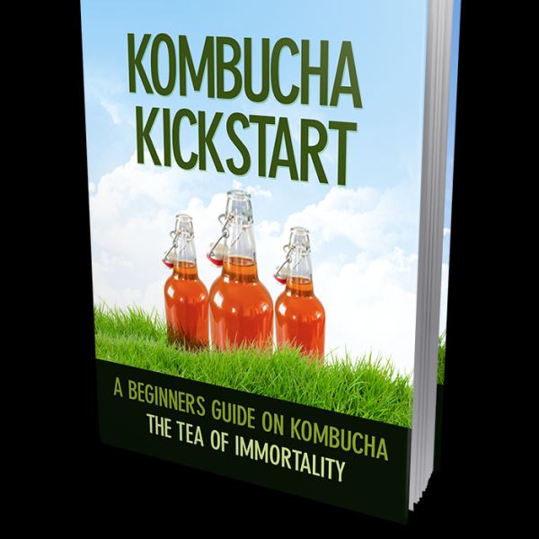 Kombucha Kickstart: Your Complete Digital Toolkit