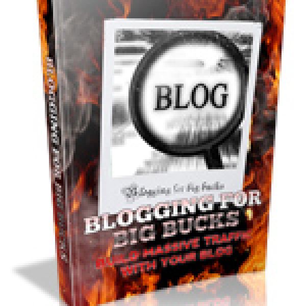 Access the Blogging For Big Bucks Resource Folder